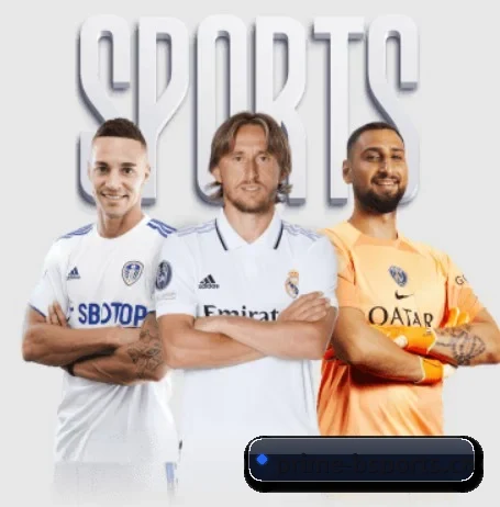 B体育的方向 | B SPORTS